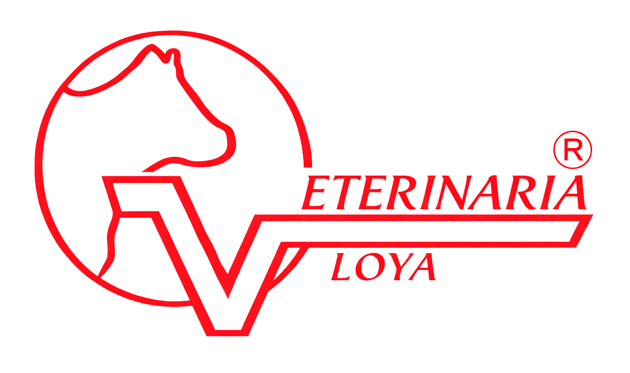 Distribuidora Veterinaria Loya